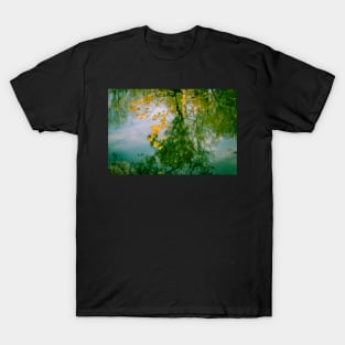 Nature Abstract In Autumn - Natchez Trace T-Shirt